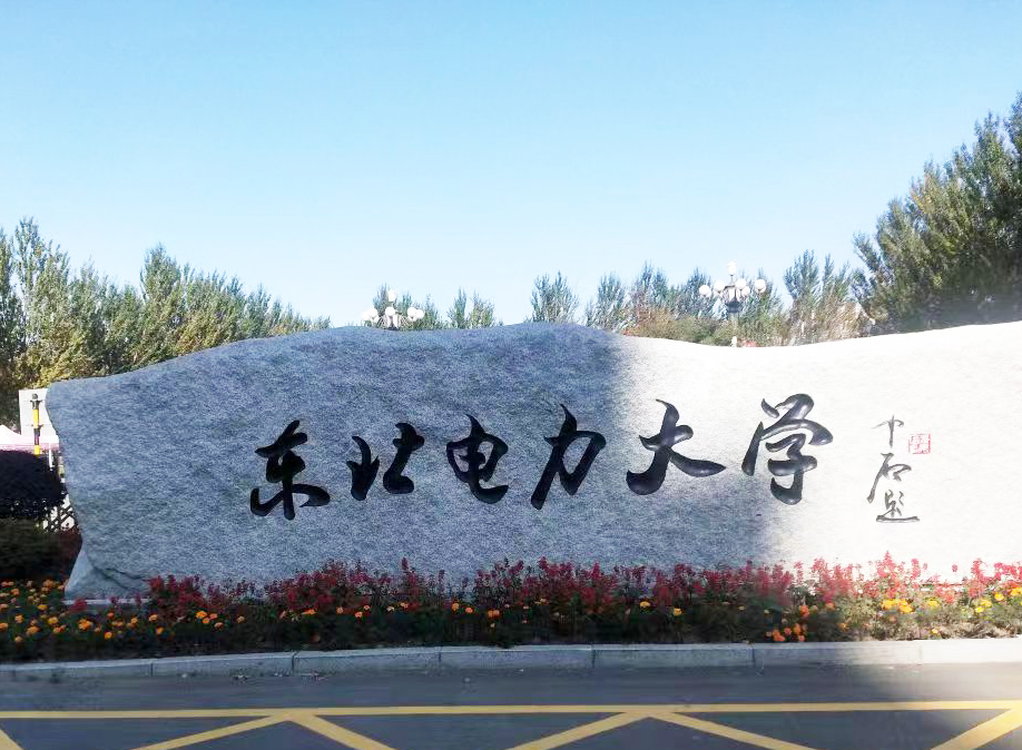東北電力大學采購南京草莓视频导航的DZ-DSC300C草莓视频APP入口